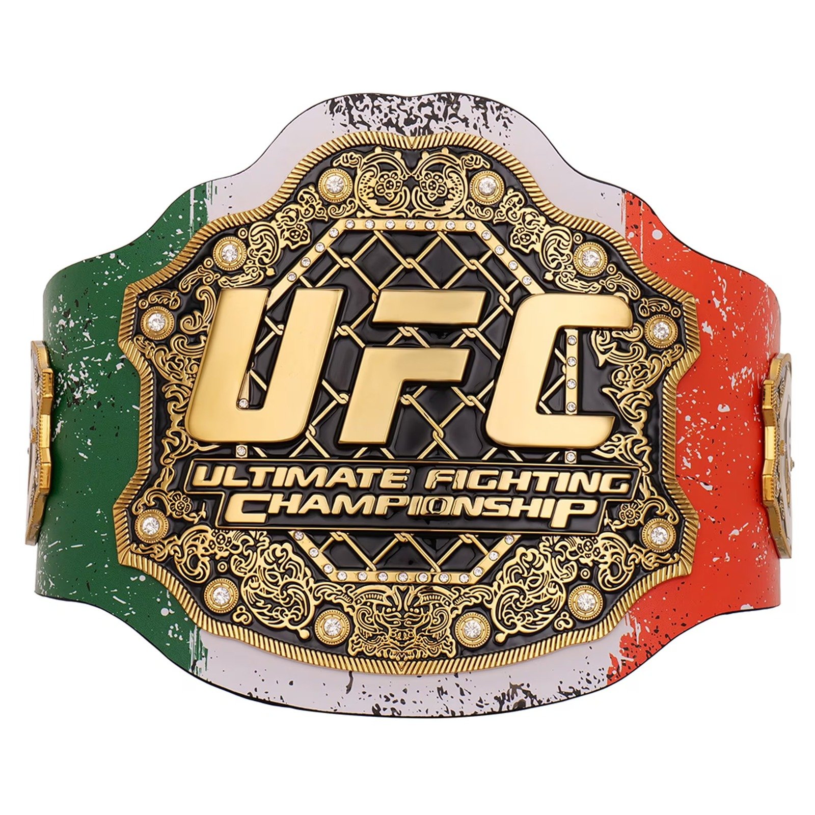 MMA / Muay Thai
