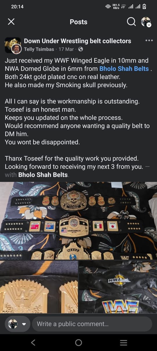 Elena Rodriguez championship belt — view 1